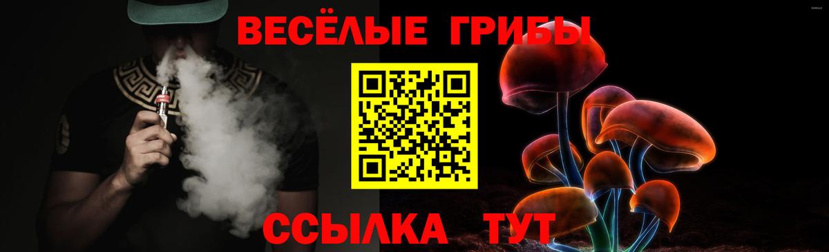 продажа наркотиков  Вход с VPN  Каменка  Галлюциногенные грибы мицелий 