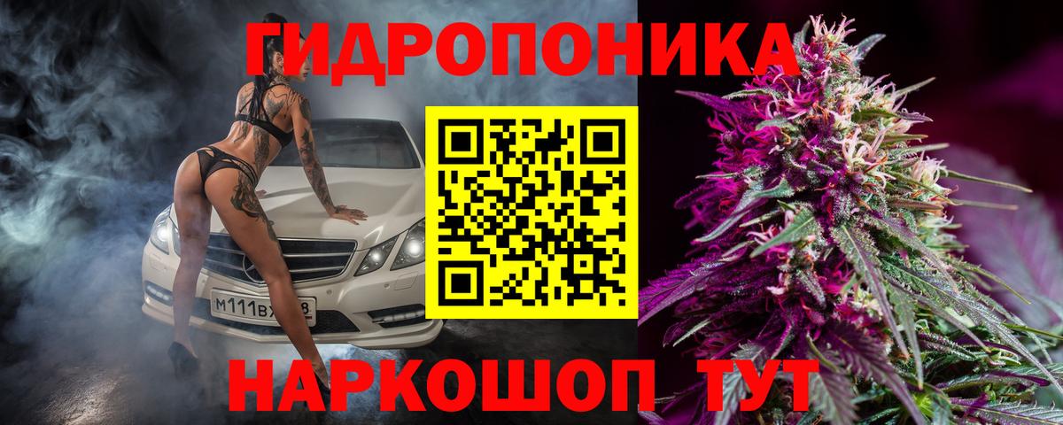 Каменка  Шишки марихуана планчик  МАРИХУАНА сатива  Каннабис VHQ  Вход с VPN 